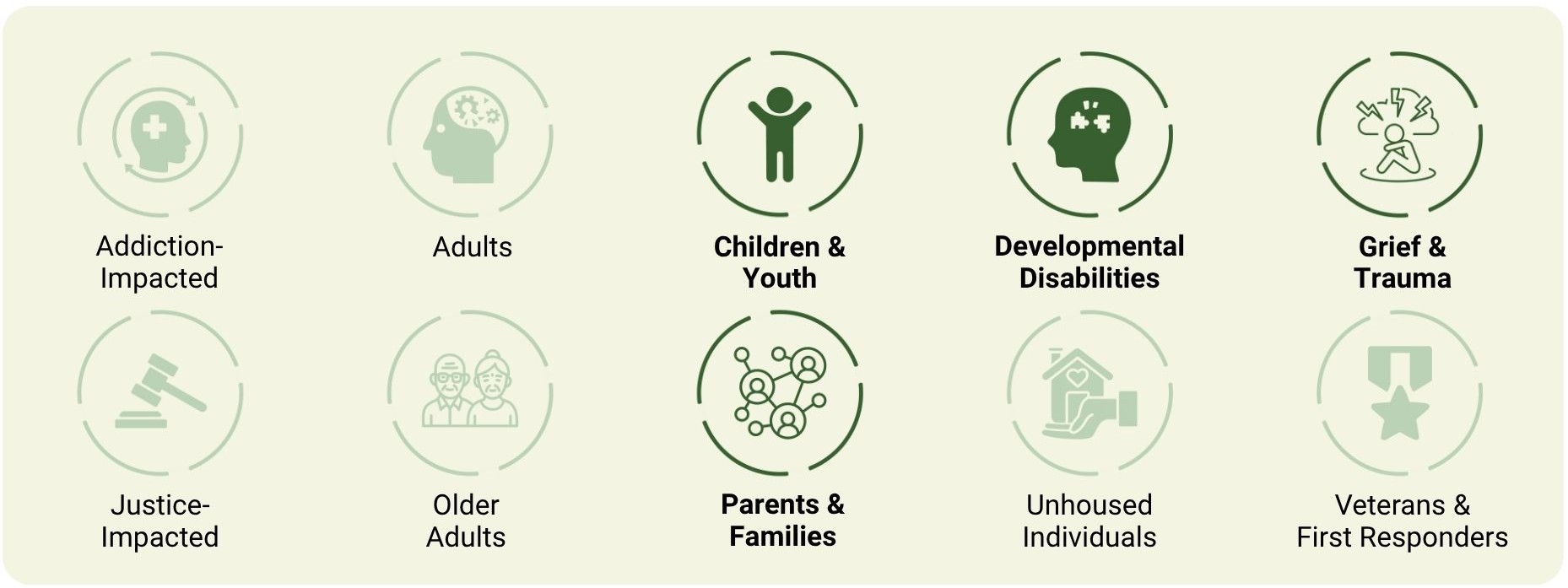 This profession primarily works with children and youth and collaborates with parents and families. It is not common for this profession to work directly with adults, older adults, individuals impacted by addiction, unhoused individuals, justice-involved populations, veterans and first responders, or those experiencing grief or trauma outside the school context. They may support students with developmental disabilities and those experiencing grief or trauma within the educational setting.